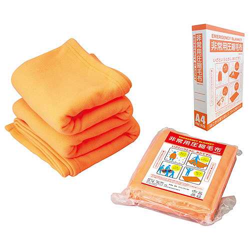 西川 (Nishikawa) 枕 清潔 キット 73X77cm 枕を入れるだけで消臭 除湿 枕用洗濯ネット付き ピロケア ミントグリーン E 西川 (Nishikawa) 枕 清潔 キット 73X77cm 枕を入れるだけで消臭 除湿 枕用