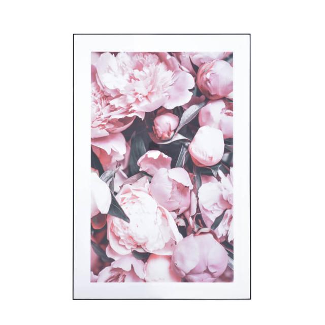 Botanical Inspiration : Nature in Art and Illustration