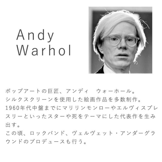 Ａｎｄｙ　Ｗａｒｈｏｌ（アンディ　ウォーホル）　Ｄａｉｓｙ　　ｃ．１９８２（ｃｒｉｍｓｏｎ　ａｎｄ　ｐｉｎｋ）　アートポスタ_4