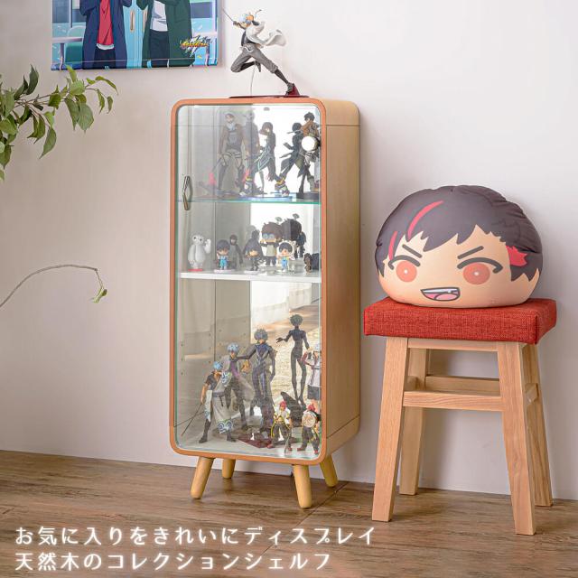 コレクションシェルフ Lサイズ コレクションシェルフ ラック 棚 収納