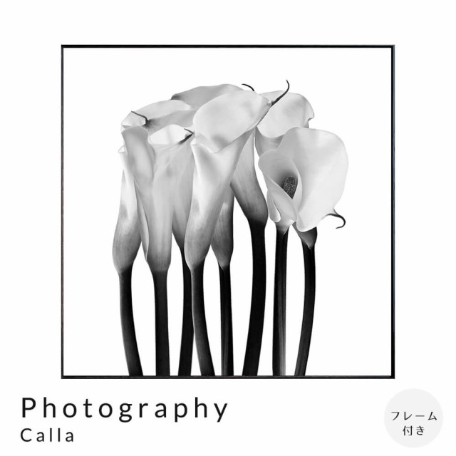 Ｐｈｏｔｏｇｒａｐｈｙ　Ｃａｌｌａ　アートポスター（フレーム付き）の通販は