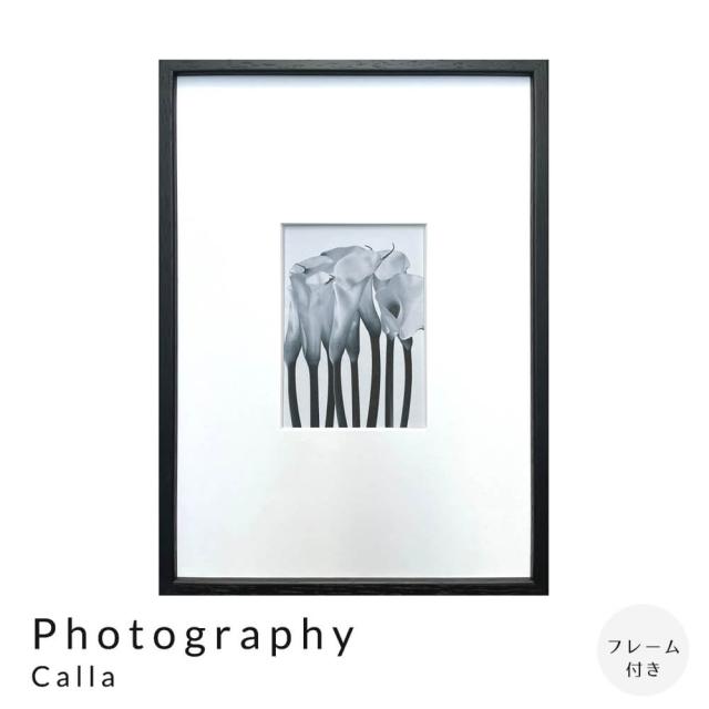 Ｐｈｏｔｏｇｒａｐｈｙ　Ｃａｌｌａ　アートポスター（フレーム付き）の通販は 5,808円
