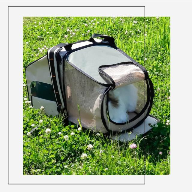 ２ＷＡＹタイプ　猫　キャリー　バッグ　拡張可能　２ｗａｙ　ペットハウス　中・大型猫用・小型犬・うさぎ用　ペットキャリー　バッグ_15