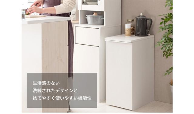 引出しダストボックス　ゴミ箱　４５リットル　４５Ｌ　ふた付き　塵箱　スリム　幅３０ｃｍ　ダストボックス_1