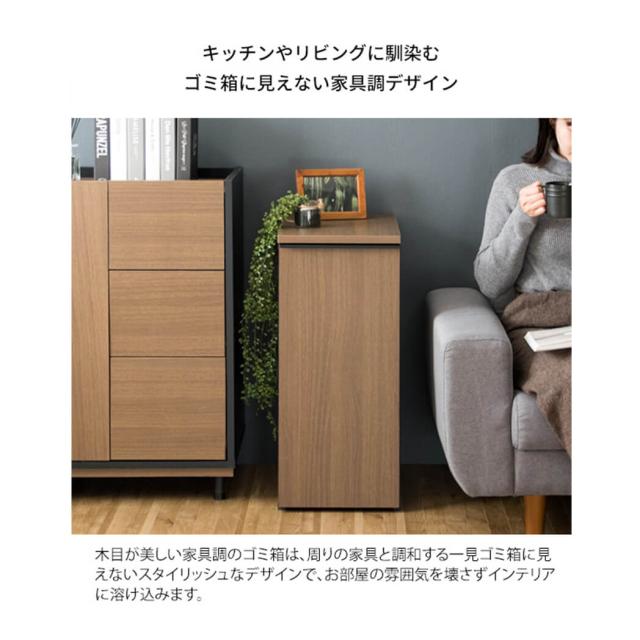 引出しダストボックス　ゴミ箱　４５リットル　４５Ｌ　ふた付き　塵箱　スリム　幅３０ｃｍ　ダストボックス_3