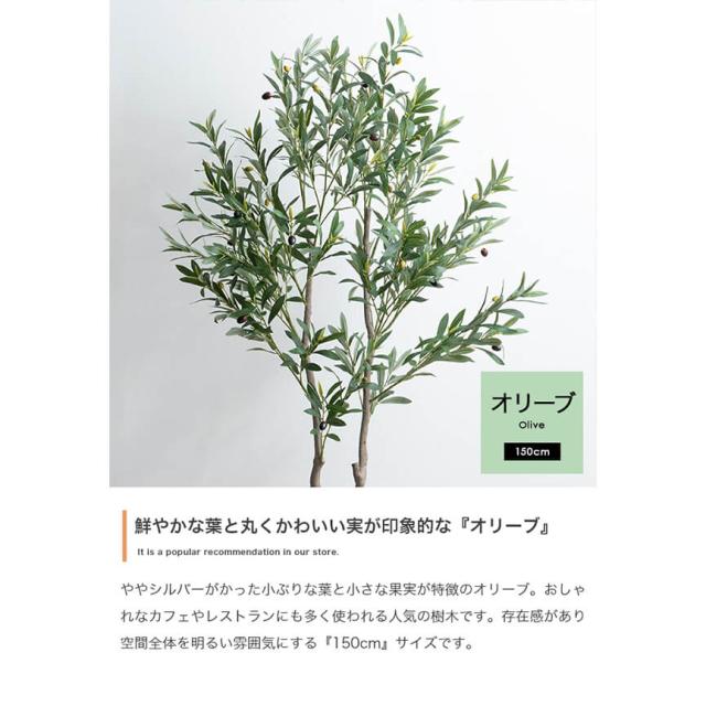 フェイクグリーン　人工観葉植物　おしゃれ　光触媒　観葉植物　高さ１５０ｃｍ　リアル　フェイク　防臭効果　インテリア　オリーブ_2
