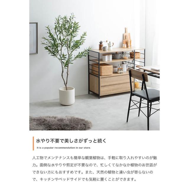 フェイクグリーン　人工観葉植物　おしゃれ　光触媒　観葉植物　高さ１５０ｃｍ　リアル　フェイク　防臭効果　インテリア　オリーブ_3