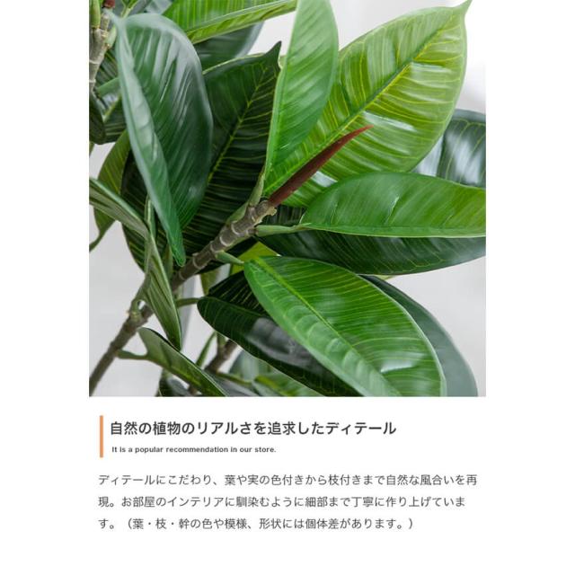 フェイクグリーン　人工観葉植物　おしゃれ　光触媒　観葉植物　高さ１５０ｃｍ　リアル　フェイク　防臭効果　インテリア　オリーブ_4