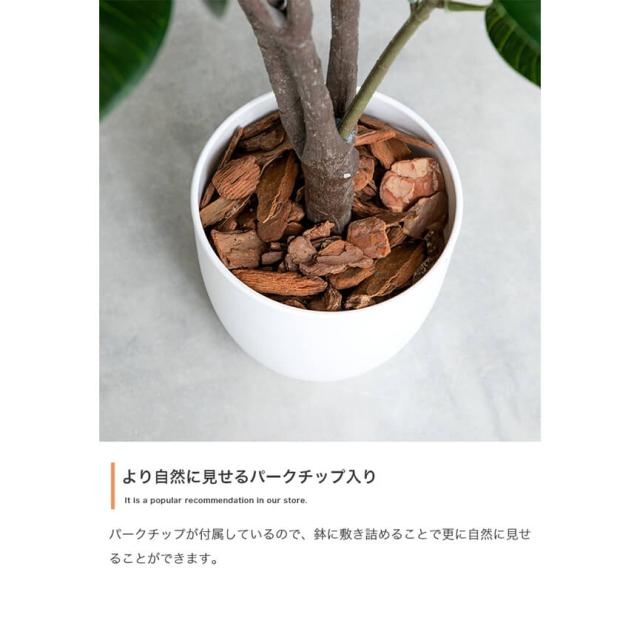 フェイクグリーン　人工観葉植物　おしゃれ　光触媒　観葉植物　高さ１５０ｃｍ　リアル　フェイク　防臭効果　インテリア　オリーブ_5