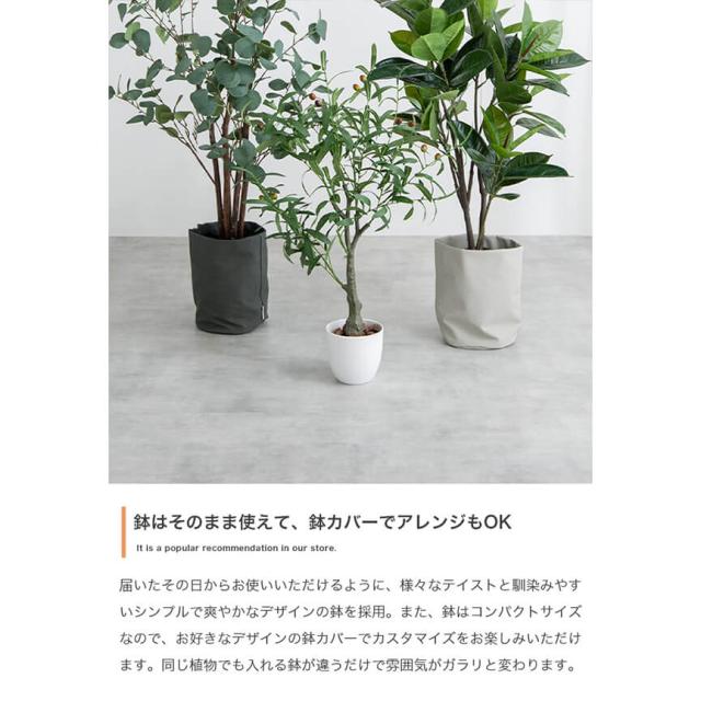フェイクグリーン　人工観葉植物　おしゃれ　光触媒　観葉植物　高さ１５０ｃｍ　リアル　フェイク　防臭効果　インテリア　オリーブ_6