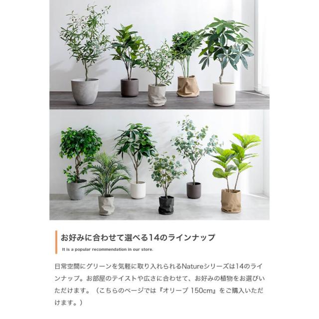 フェイクグリーン　人工観葉植物　おしゃれ　光触媒　観葉植物　高さ１５０ｃｍ　リアル　フェイク　防臭効果　インテリア　オリーブ_8