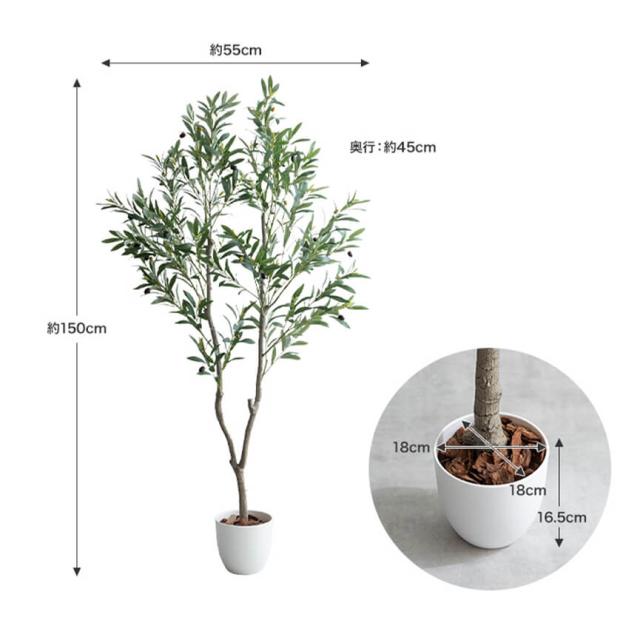 フェイクグリーン　人工観葉植物　おしゃれ　光触媒　観葉植物　高さ１５０ｃｍ　リアル　フェイク　防臭効果　インテリア　オリーブ_9