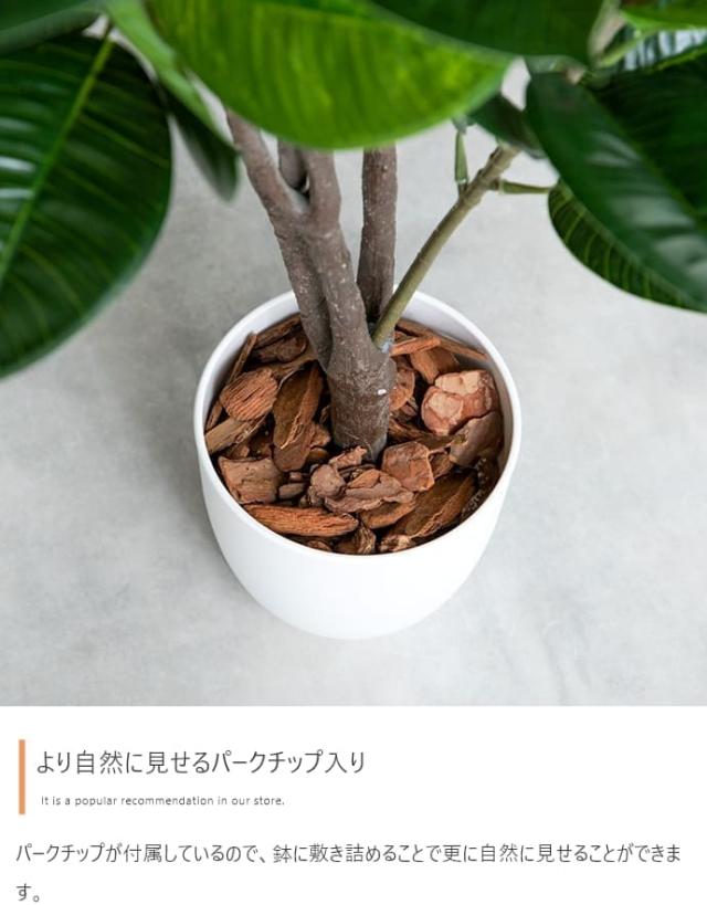 フェイクグリーン　人工観葉植物　おしゃれ　光触媒　観葉植物　高さ１２５ｃｍ　リアル　フェイク　防臭効果　インテリア　オリーブ_3
