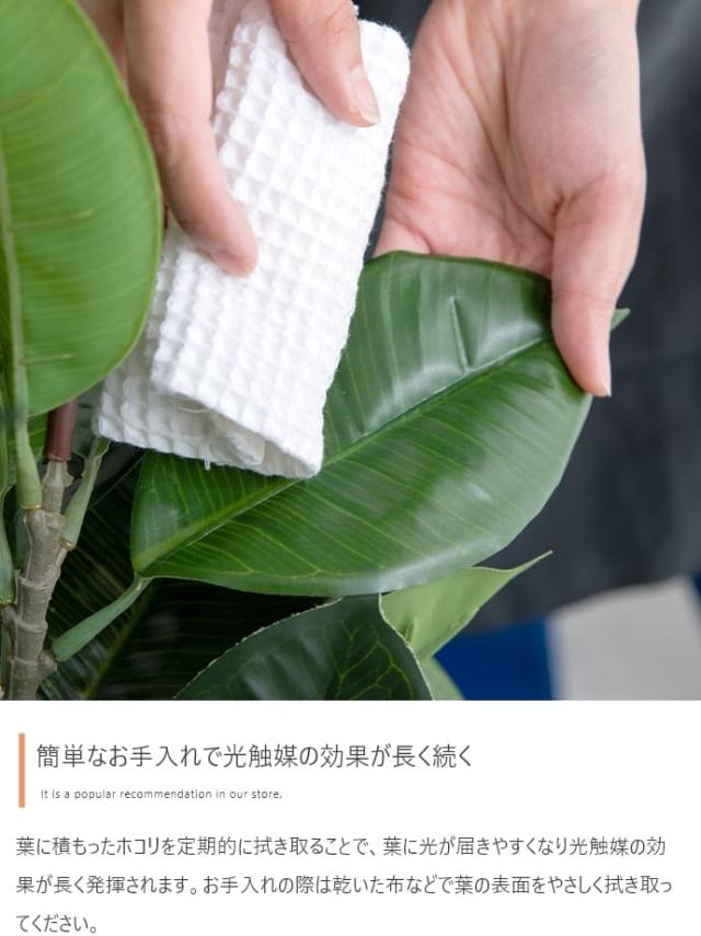 フェイクグリーン　人工観葉植物　おしゃれ　光触媒　観葉植物　高さ１２５ｃｍ　リアル　フェイク　防臭効果　インテリア　オリーブ_5