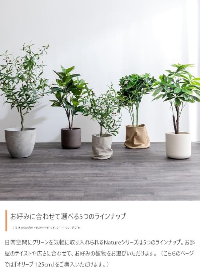 フェイクグリーン　人工観葉植物　おしゃれ　光触媒　観葉植物　高さ１２５ｃｍ　リアル　フェイク　防臭効果　インテリア　オリーブ_7
