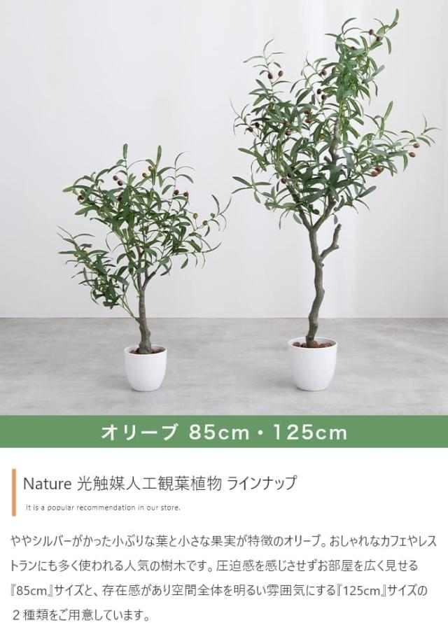 フェイクグリーン　人工観葉植物　おしゃれ　光触媒　観葉植物　高さ１２５ｃｍ　リアル　フェイク　防臭効果　インテリア　オリーブ_8