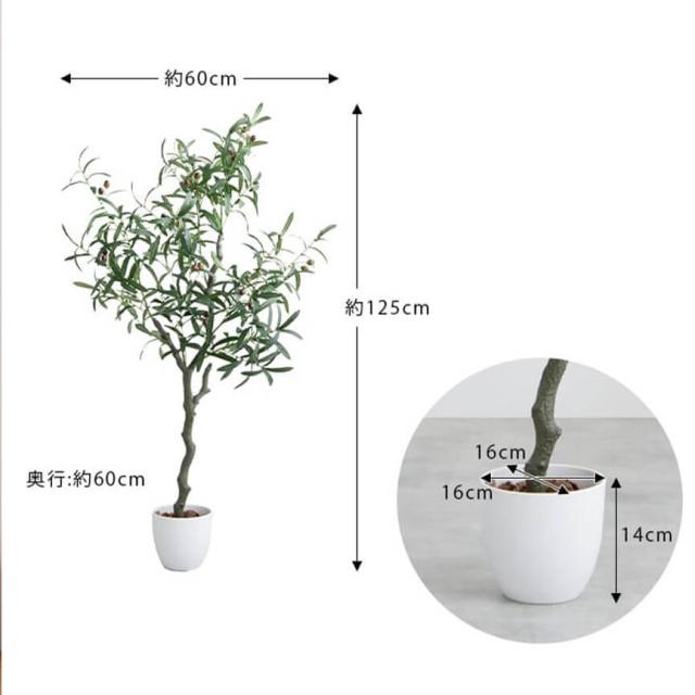 フェイクグリーン　人工観葉植物　おしゃれ　光触媒　観葉植物　高さ１２５ｃｍ　リアル　フェイク　防臭効果　インテリア　オリーブ_9