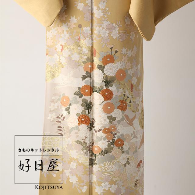 色留袖 身長152-167cm 三つ紋 it-020 レンタル】色留袖 フルセット 正絹 適応身長152~167cm 三つ紋 it-020