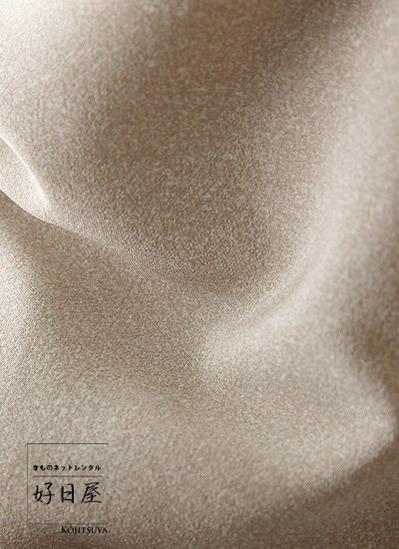 レンタル】色留袖 フルセット 正絹 適応身長157~172cm 三つ紋 it