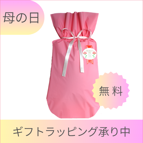 超音波歯ブラシ 電動歯ブラシ スマイルエックス 替えブラシ2パック付き特典(ST,MF) ピンク 優しい振動 歯茎ケアもできる 母の日 ギフト 日本製_8
