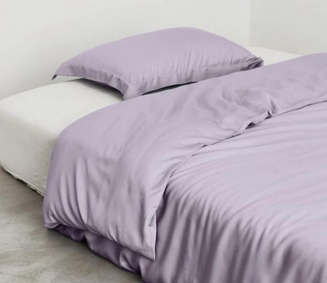 YOYOSTAR 掛ふとんカバー ワイドクイーンロング 220x220cm テンセル100% ラベンダーパープル リバーシブル 掛けカバー シルクのような光沢 フィット感 おしゃれ 速乾 通気 単品売り 防ダニの通販は