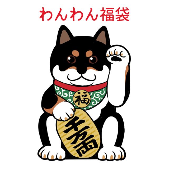 数量限定◆送料無料◆2025 福袋 ワンちゃんハッピーバッグ サイズ選べる 春夏秋冬 オールシーズンの通販は 10,000円