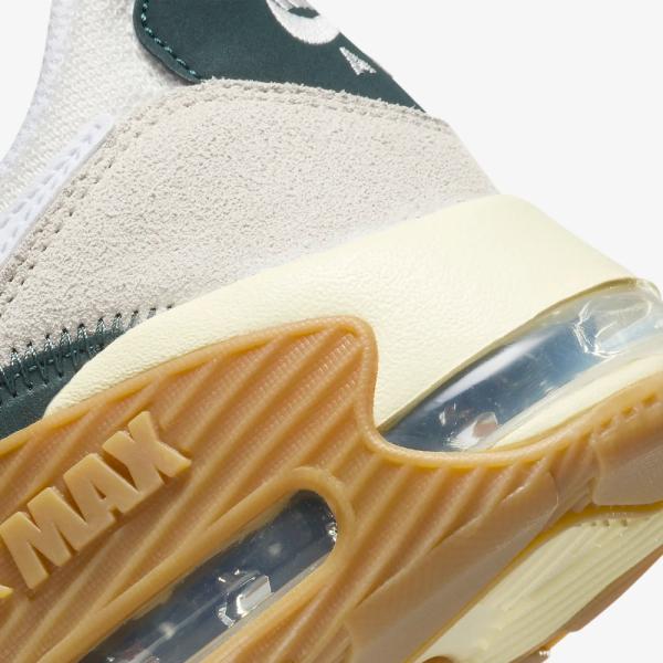 2023年秋冬新作♪ NIKE【ナイキ】 AIR MAX EXCEE メンズ エア マックス エクシー 【FQ8067-133】 セイ
