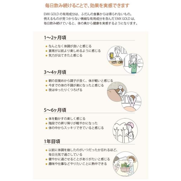 【送料無料】発酵飲料水 EMXGOLD（EMXゴールド）500ml ×2本セット EM X GOLD em x gold イーエム エックス ゴールド em x ゴールド EM生活 善玉菌 健康飲料_7