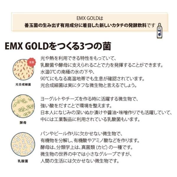 【送料無料】発酵飲料水 EMXGOLD（EMXゴールド）500ml ×5本セット EM X GOLD em x gold イーエム エックス ゴールド em x ゴールド EM生活 善玉菌 健康飲料_4