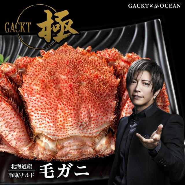 高坂穂乃果 ラブライブ！ ぬいぐるみ（girly pink） 2年生 GiGO ぬいぐるみ