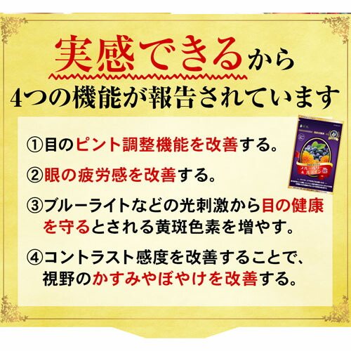 【10個セット★送料無料】リフレ ブルーベリー＆ルテインα（31粒入） ブルーベリーサプリ 眼精疲労 目の健康改善サポート_9