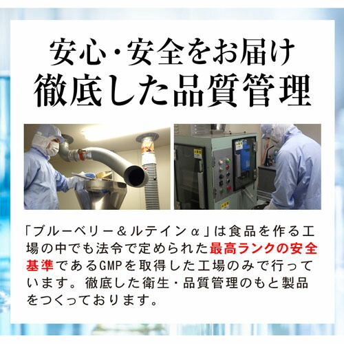 【10個セット★送料無料】リフレ ブルーベリー＆ルテインα（31粒入） ブルーベリーサプリ 眼精疲労 目の健康改善サポート_10