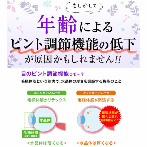 【10個セット★送料無料】リフレ ブルーベリー＆ルテインα（31粒入） ブルーベリーサプリ 眼精疲労 目の健康改善サポート_4