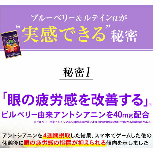 【10個セット★送料無料】リフレ ブルーベリー＆ルテインα（31粒入） ブルーベリーサプリ 眼精疲労 目の健康改善サポート_6