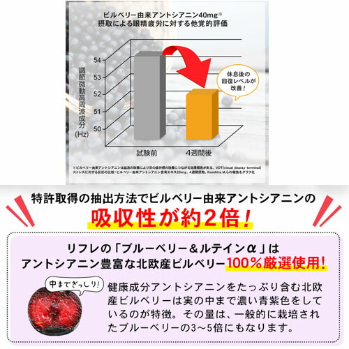 【10個セット★送料無料】リフレ ブルーベリー＆ルテインα（31粒入） ブルーベリーサプリ 眼精疲労 目の健康改善サポート_7