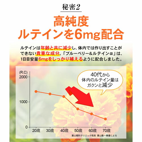 【10個セット★送料無料】リフレ ブルーベリー＆ルテインα（31粒入） ブルーベリーサプリ 眼精疲労 目の健康改善サポート_8