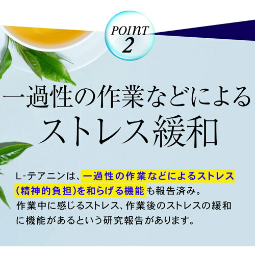 【10個セット★送料無料】リフレのぐっすりずむ（31粒入） 機能性表示食品 L-テアニン_6