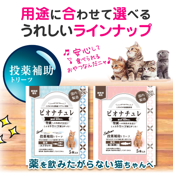 賞味期限2027.6.30】 ビオナチュレ カロリートリーツ 猫用 鮭 10g×5本