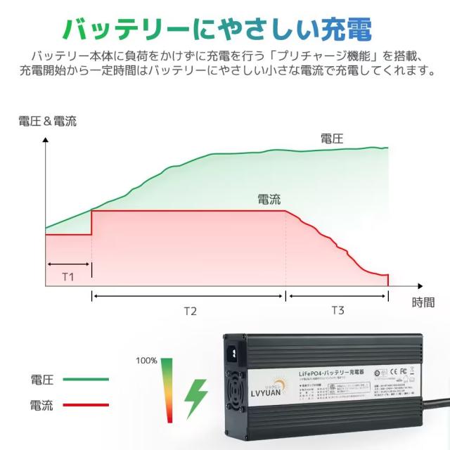 LVYUAN 自動バッテリー充電器リン酸鉄リチウムイオンバッテリー専用 12V 20A LiFePO4_4