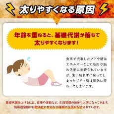 【徳用396錠×5個】【第2類医薬品】本草製薬 本草防風通聖散エキス錠-H (396錠)×5個セット【大容量33日分】【送料無料】4987334201999 本草 防風通聖散エキス錠-H_4