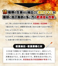 【徳用396錠×5個】【第2類医薬品】本草製薬 本草防風通聖散エキス錠-H (396錠)×5個セット【大容量33日分】【送料無料】4987334201999 本草 防風通聖散エキス錠-H_6