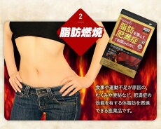 【徳用396錠×5個】【第2類医薬品】本草製薬 本草防風通聖散エキス錠-H (396錠)×5個セット【大容量33日分】【送料無料】4987334201999 本草 防風通聖散エキス錠-H_10