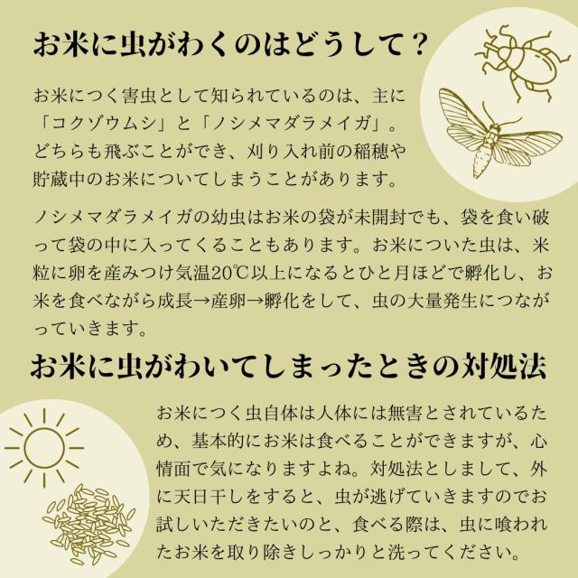 無洗米玄米 スマート米 山形県産 はえぬき 10kg (5kg×2袋) 令和7年産 残留農薬不検出_10