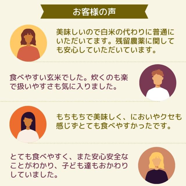 無洗米玄米 スマート米 山形県産 はえぬき 10kg (5kg×2袋) 令和7年産 残留農薬不検出_11