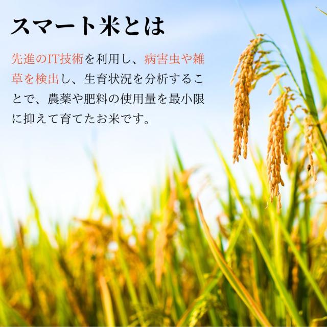 無洗米玄米 スマート米 山形県産 はえぬき 10kg (5kg×2袋) 令和7年産 残留農薬不検出_3