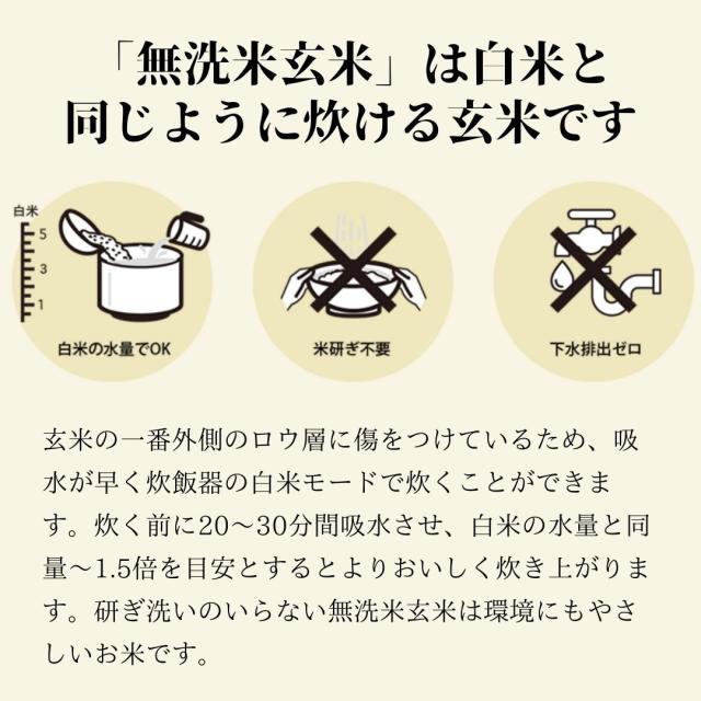 無洗米玄米 スマート米 山形県産 はえぬき 10kg (5kg×2袋) 令和7年産 残留農薬不検出_5