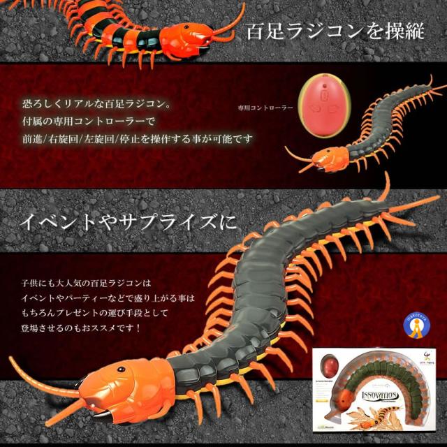 ラジ昆虫 スーパーラジオコントロール 2種類セット