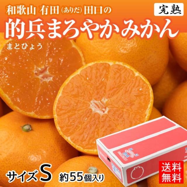 完熟 みかん 的兵 有田 期間数量限定 5kg S サイズ 送料無料 幻のみかん 青秀 希少 高級 和歌山 的兵みかん農園