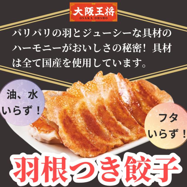 大阪王将＆ジョイフルコラボセット９種９個入り 生ハンバーグ 冷凍 セット 冷凍食品 おかず 総菜セット お惣菜セット