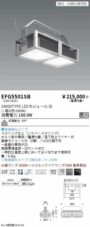 遠藤 遠藤 EFG5501SB